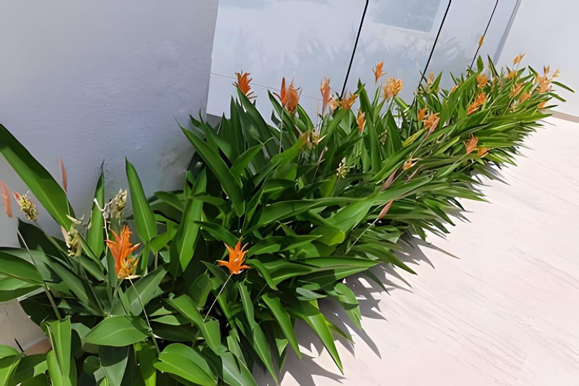 Apartamento 5* 2H con piscina, frente a la playa Morros. Wifi Cartagena Exterior foto